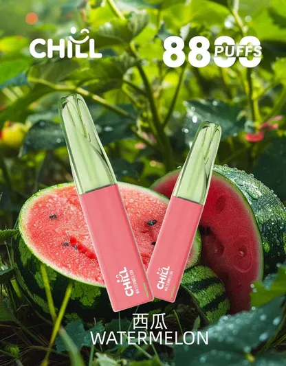 001-01.webp CHILL 鴨嘴獸 8800口拋棄式電子煙|12W輸出 台灣現貨