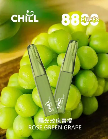 001-06.webp CHILL 鴨嘴獸 8800口拋棄式電子煙|12W輸出 台灣現貨