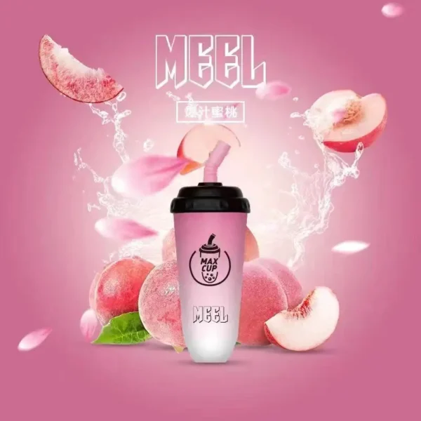 MEEL 奶茶杯 6000口 拋棄式電子煙｜具備 3% 尼古丁鹽順滑不鎖喉 台灣現貨