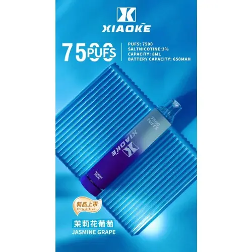 1733109461e9fbcdbf26f781b76a8978df9e0f268c_local-500x500-1.webp XIAOKE 梟客 7500口 拋棄式電子煙|搭載網狀霧化技術8ml容量 台灣現貨