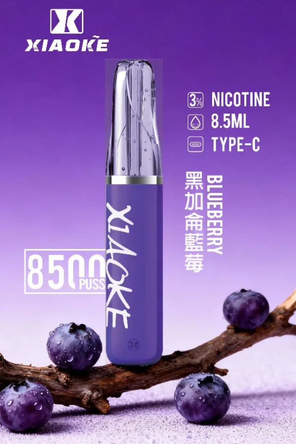 8b2c17ea1d548700b8e9ec2a9e768390.jpg.webp XIAOKE 梟客 8500口拋棄式電子煙|含 8.5ml儲油量 台灣現貨