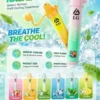 I.G夏威夷鼻通產品規格-鼻吸薄荷棒-6-scaled-1.webp I.G 夏威夷 1000口鼻通棒|精巧外型 台灣現貨