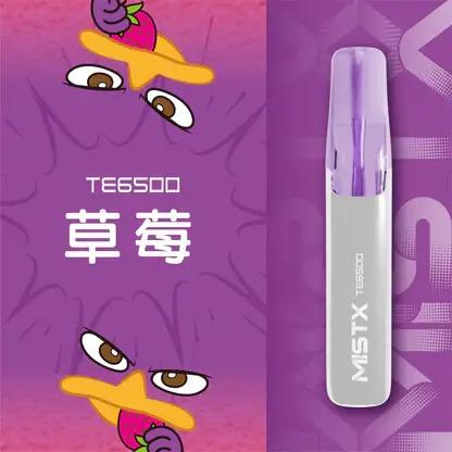 Mist X 鴨嘴獸 6500口 拋棄式電子煙｜具備2% 尼古丁鹽配置 台灣現貨