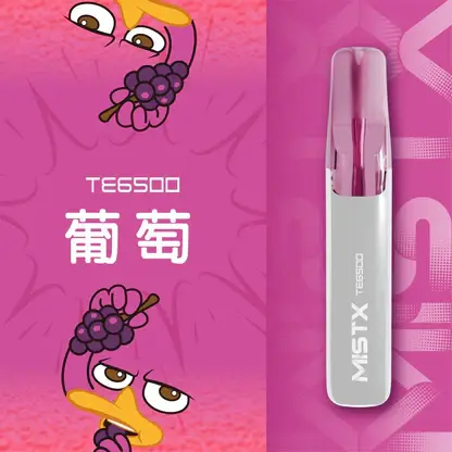 Mist X 鴨嘴獸 6500口 拋棄式電子煙｜具備2% 尼古丁鹽配置 台灣現貨