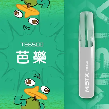 Mist X 鴨嘴獸 6500口 拋棄式電子煙｜具備2% 尼古丁鹽配置 台灣現貨