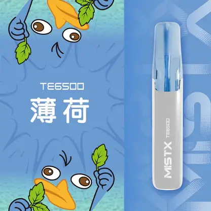 Mist X 鴨嘴獸 6500口 拋棄式電子煙｜具備2% 尼古丁鹽配置 台灣現貨