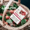 LANA 一代通用煙彈（3顆裝）｜具備吸氣即亮炫彩特效 台灣現貨
